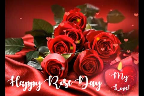 Bunch Of Roses To My Precious Love! Free Rose Day eCards, Greeting ...