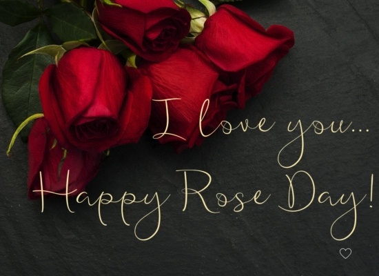 Share Love Filled Rose Day Wishes
