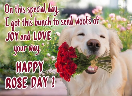 Send A Bunch Of Roses To Dear Ones