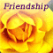 Our Friendship Blooms...