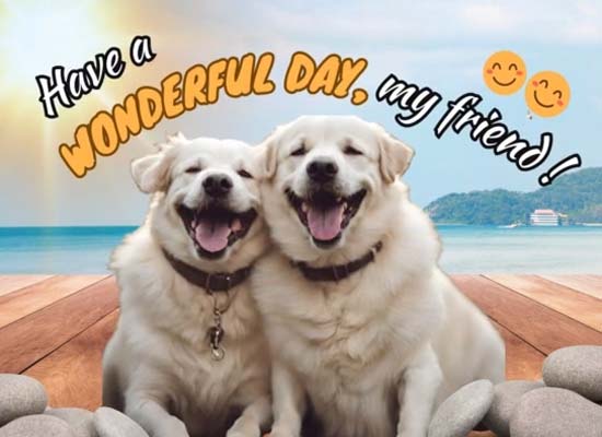 Thank You Wishes For Your Friend!