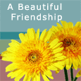 A Beautiful Friendship...