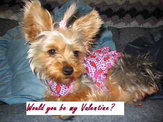 Would You Please Be My Valentine?
