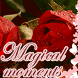 Magical Moments...