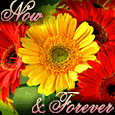 Now And Forever!