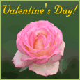Valentine's Day Rose!