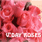 Send Valentine's Day Roses!