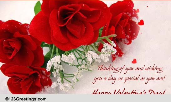 Roses For Valentines Day!