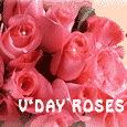 Send Valentine's Day Roses!