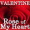 You  Are The Rose Of My Heart!