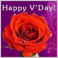 For Someone Special On Valentine&apos;s...