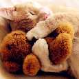 Being In Love Is So Beautiful!