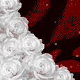 White Rose Romance