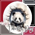 Valentine&#x92;s Day Panda Card.
