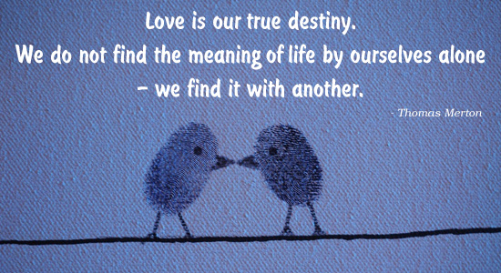 True Destiny Is Love.