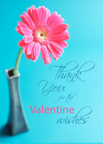 Thanks For Valentine Wish Pink Daisy.