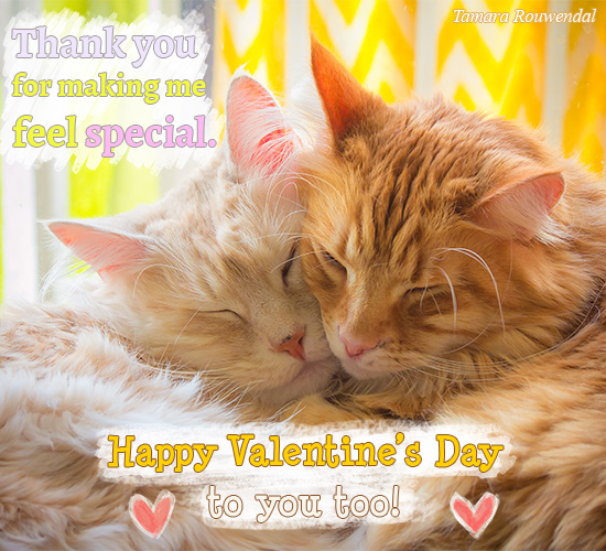 Thank You Valentine Cats.