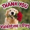 Valentine%92s Day Cute Thank You.