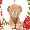 Cute Valentine%92s Teddy Card For You.