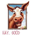 Hay, Good Lookin’ Cute Horse Card.
