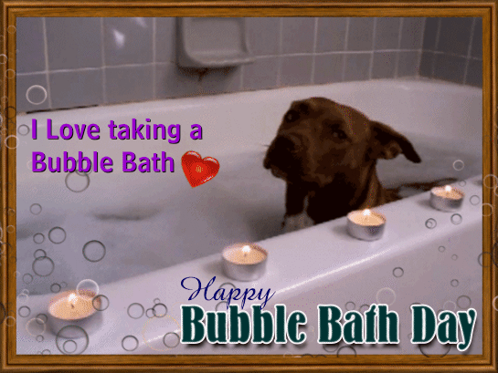 Dog Taking A Bubble Bath.