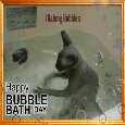 Cat Making Bubbles!