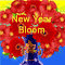New Year Bloom!