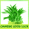 Chinese Good Luck Bamboo!