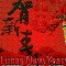 The Chinese Lunar New Year!