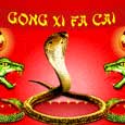 Gong Xi Fa Cai... Chinese New Year!
