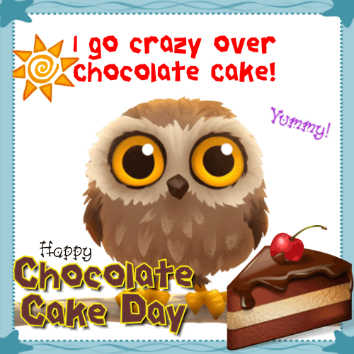 Crazy Over Chocolate Cake!