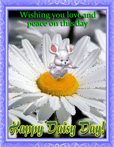 A Daisy Day Ecard For You!