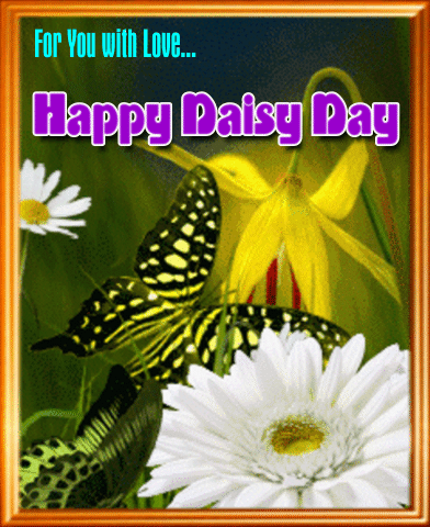 My Daisy Day Ecard For You.