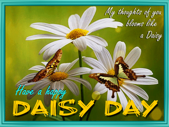Blooms Like A Daisy... Free Daisy Day eCards, Greeting Cards | 123 ...