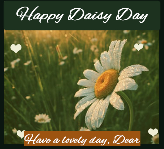 Happy Daisy Day, Dear.