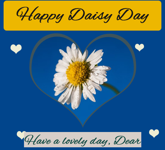 Happy Daisy Day, Blue...