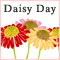 Brighter Daisy Day...