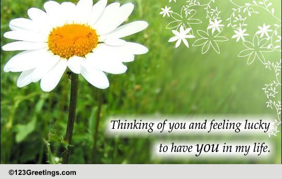 Warm Friendship Wish.