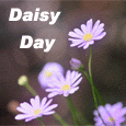Bright And Fresh Daisy Day...