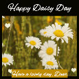 Happy Daisy Day, White...