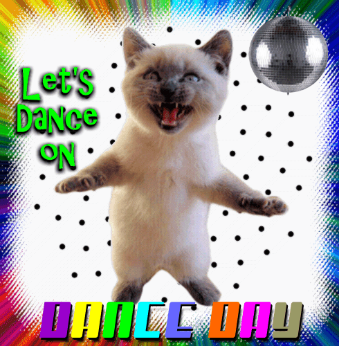 Kitty Let’s Dance...