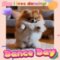 I Love Dancing!