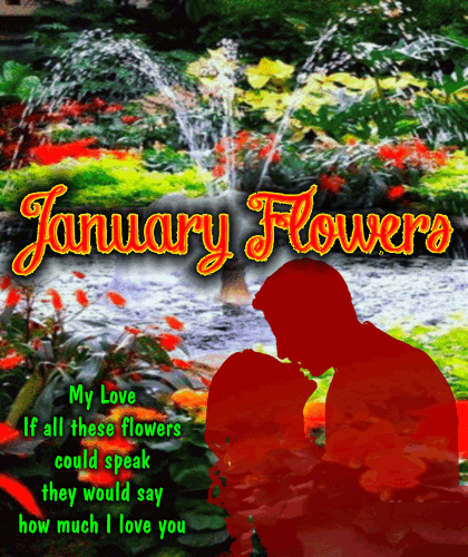 A Romantic January Flowers Ecard.