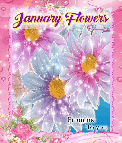 January Flowers From Me To You..