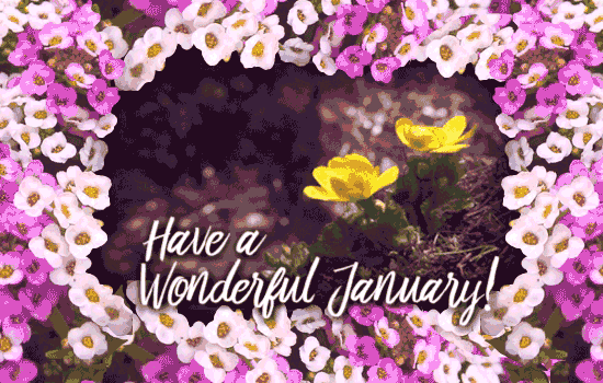 January Flowers Floral Frame.