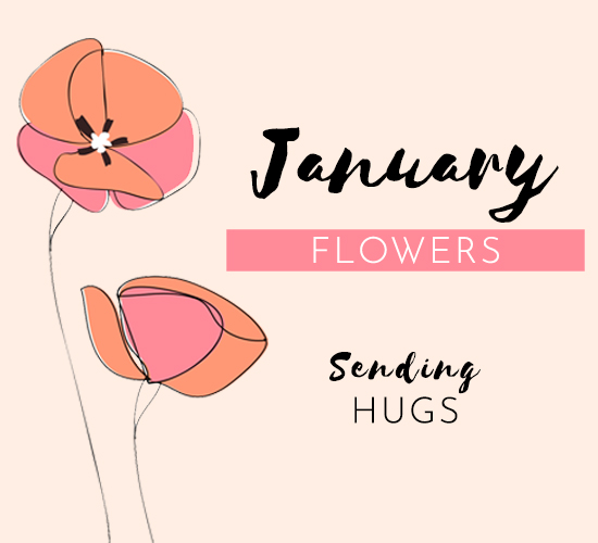 Flowers For January.
