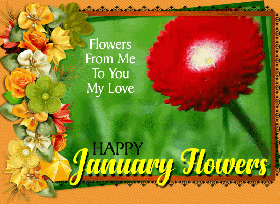 A Lovely January Flowers Card For You.