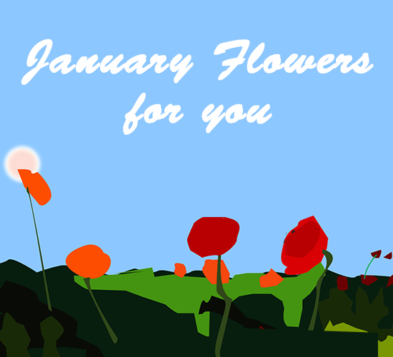 January Flowers For You New...