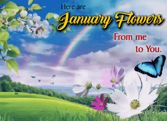 My January Flowers Ecard Just For You.