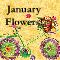 Warm Wishes With January Flowers!
